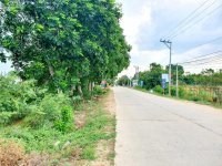 Bán 2000m2 đất xã Phước Thuận, Ninh Phước, Ninh Thuận 11