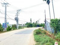 Bán 2000m2 đất xã Phước Thuận, Ninh Phước, Ninh Thuận 12