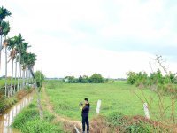 Bán 2000m2 đất xã Phước Thuận, Ninh Phước, Ninh Thuận 13