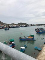 Bán đất Gần biển Phan Rang Ninh Thuận, khu tái định cư khánh hội giá rẻ 6