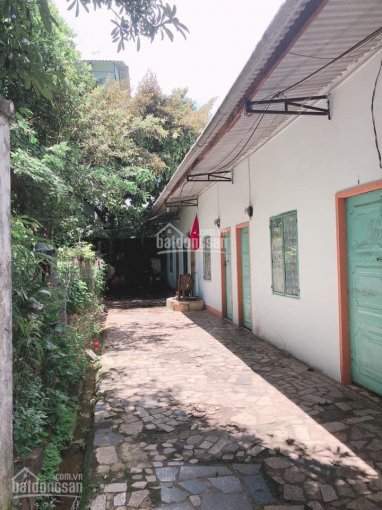 Bán nhà và đất tặng dãy trọ 5 phòng 2 mặt tiền đường Nguyễn Thiếp Pleiku Gia Lai 4