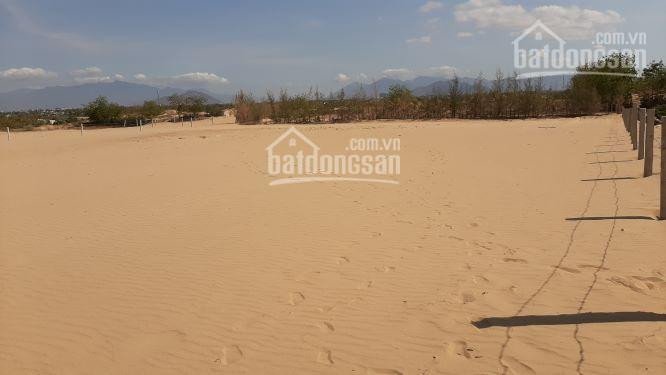 Cần bán đất bên cạnh khu du lịch đồi cát Nam Cương, Ninh Thuận, DT 1,56 hecta - LH: 0917404168 1
