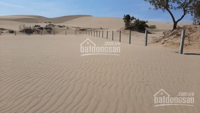 Cần bán đất bên cạnh khu du lịch đồi cát Nam Cương, Ninh Thuận, DT 1,56 hecta - LH: 0917404168 2