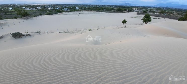 Cần bán đất bên cạnh khu du lịch đồi cát Nam Cương, Ninh Thuận, DT 1,56 hecta - LH: 0917404168 4