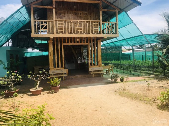 Chính chủ cần bán căn nhà gỗ nhiều tâm huyết 1000m tại TP Phan Rang Tháp Chàm, Ninh Thuận 3