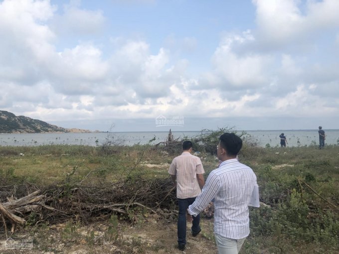Chính chủ cần bán lô đất mặt biển ĐT 702 Vĩnh Hải, Ninh Hải, Ninh Thuận Giá đầu tư LH 0838906666