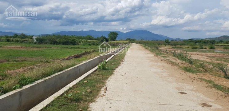 Bán Đất Phước Vĩnh lô góc đường bê tông xe tải chạy DT 2,4 hecta thuận tiện làm trang trại