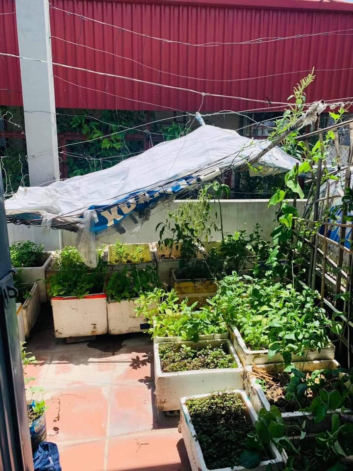 Cần bán Nhà riêng Nam Từ Liêm, Hà Nội, Diện tích 39m², Giá 3388 Triệu - LH: 0981118333 3