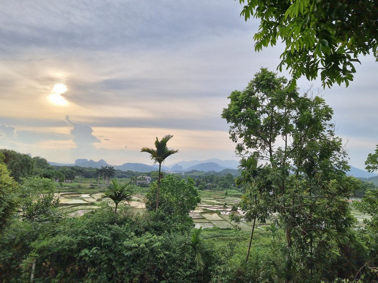 HÀNG HIẾM ĐẤT NHÀ VƯỜN NGHỈ DƯỠNG CAO CẤP  GIÁ TRỊ KINH TẾ CAO CHÍNH SÁCH ƯU ĐÃI TRONG MÙA DỊCH 2