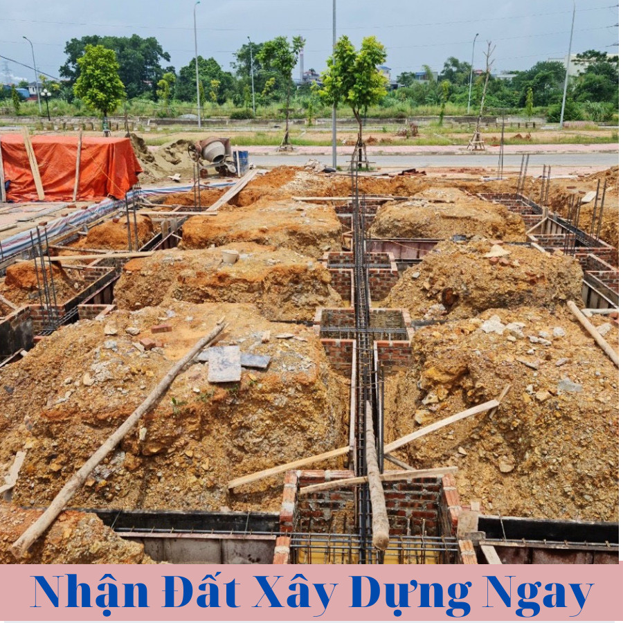 Cần bán Đất nền dự án đường Mỏ Bạch, Phường Quang Trung, Diện tích 150m², Giá 2,5 Tỷ - LH: 0915554832 3