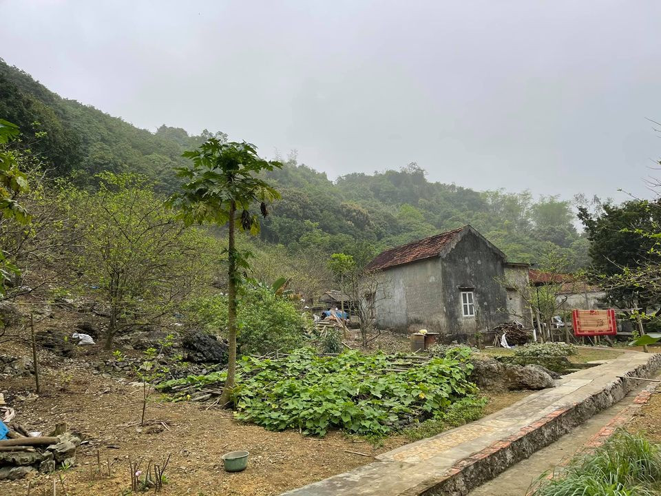 CẦN BÁN LÔ ĐẤT VIEW CÓ HỒ,NÚI RỪNG TÂY BẮC,CÓ HỒ SEN TUYỆT ĐẸP,PHONG CẢNH HỮU TÌNH GIÁ ĐẸP 4