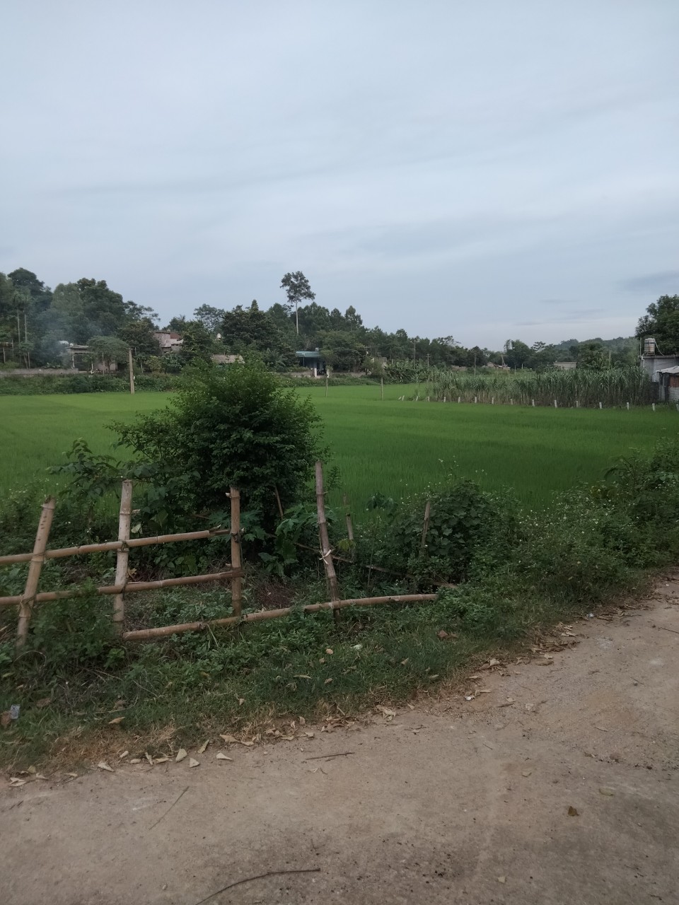 Cần bán Đất đường Liên Xã, Xã Long Sơn, Diện tích 1000m², Giá Thương lượng - LH: 0969622791 6