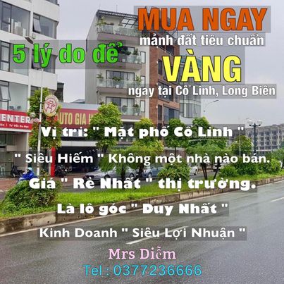 Cần bán Nhà mặt tiền đường Cổ Linh, Phường Long Biên, Diện tích 130m², Giá Thương lượng