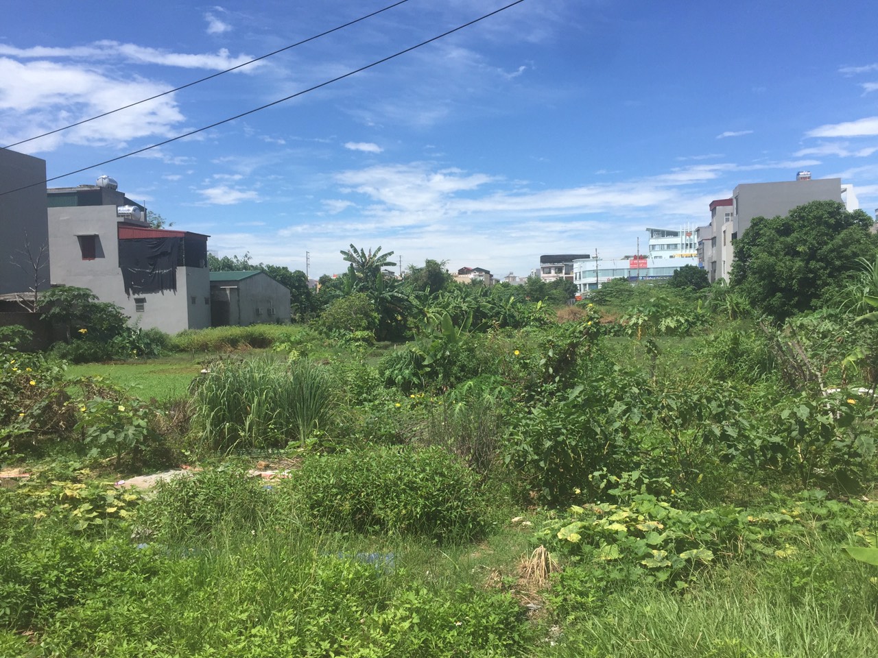 Cần bán Đất đường Bình Lộc, Phường Tân Bình, Diện tích 50m², Giá 800000 Triệu - LH: 0979411888 3