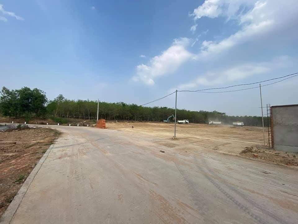 Cần bán Đất đường Nguyễn Tri Phương, Xã Phú Chánh, Diện tích 350m², Giá Thương lượng
