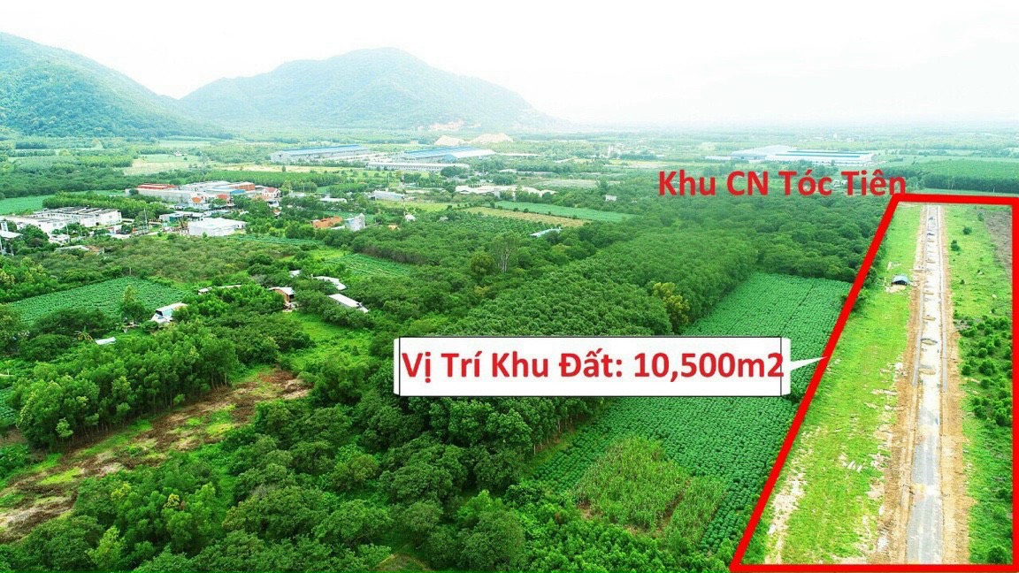 Cần bán Đất đường Châu Pha - Tóc Tiên, Xã Tóc Tiên, Diện tích 15000m², Giá 32 Tỷ - LH: 0936894008 5
