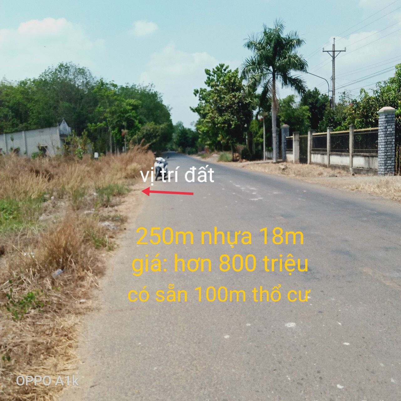 Cần bán Đất đường DH503, Xã An Bình, Diện tích 250m², Giá 800 Triệu - LH: 0818040497 2