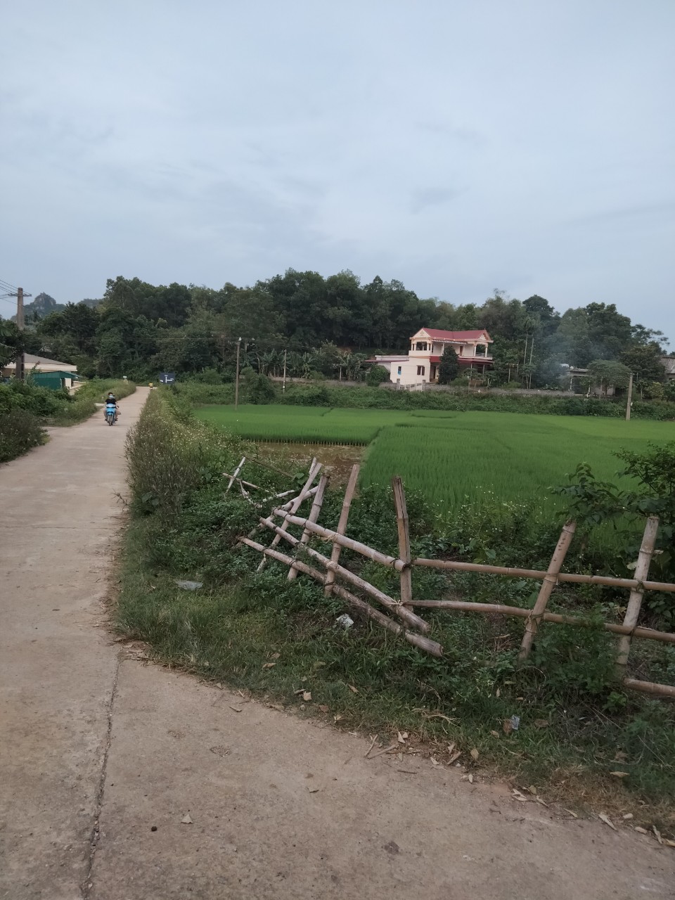 Cần bán Đất đường Liên Xã, Xã Long Sơn, Diện tích 1000m², Giá Thương lượng - LH: 0969622791