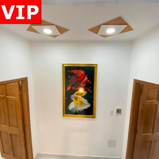 Nhà Tân Phú thuộc khu vip, đẹp như bông hoa tulip 4