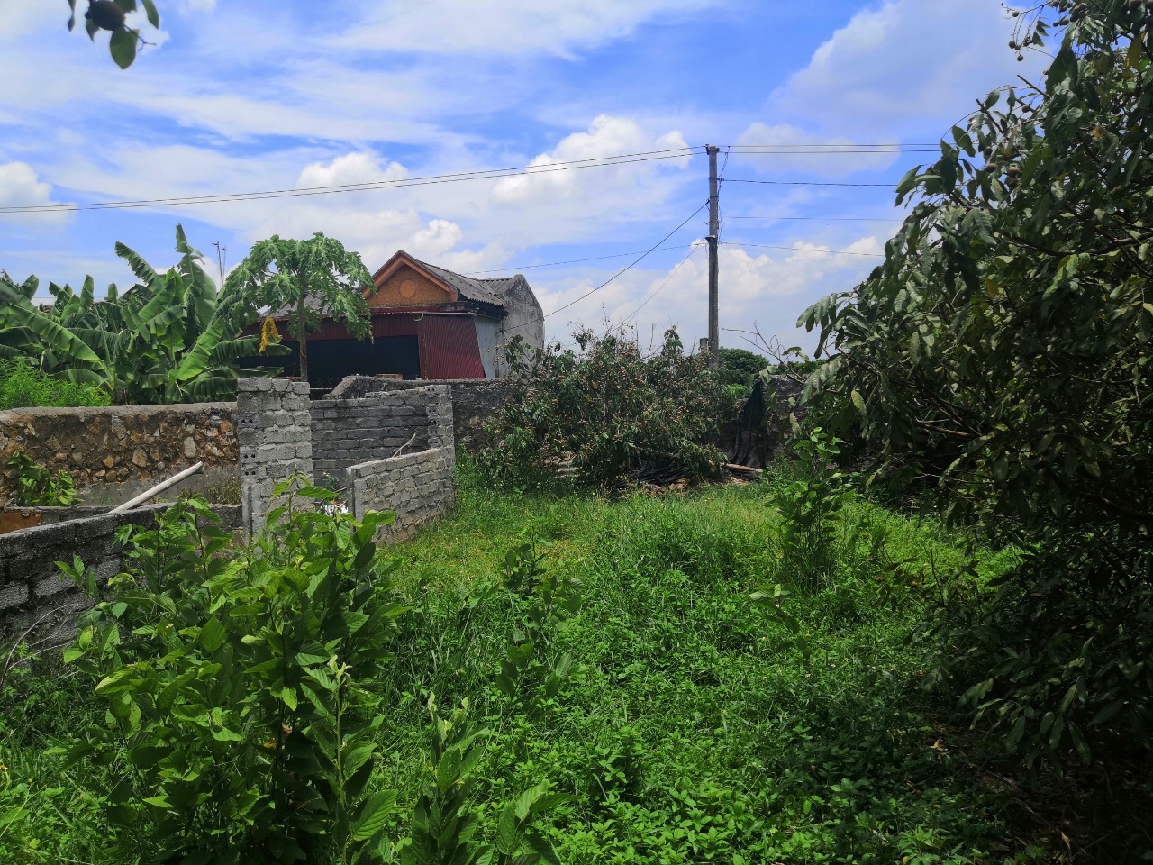 Hàng ngon Bán nhanh  Chính chủ bán đất Chín Thượng, Lan Mẫu, Lục Nam, Bắc Giang ô tô tránh nhau thoải mái. 3