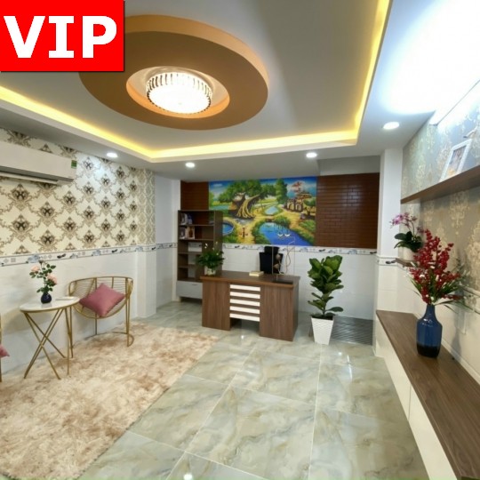 Nhà Tân Phú thuộc khu vip, đẹp như bông hoa tulip 2