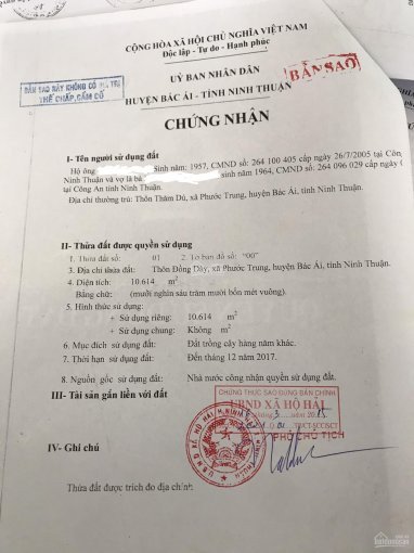 Cần bán 6 ha trang trại mặt đường Tỉnh Lộ 705 tỉnh Ninh Thuận 7