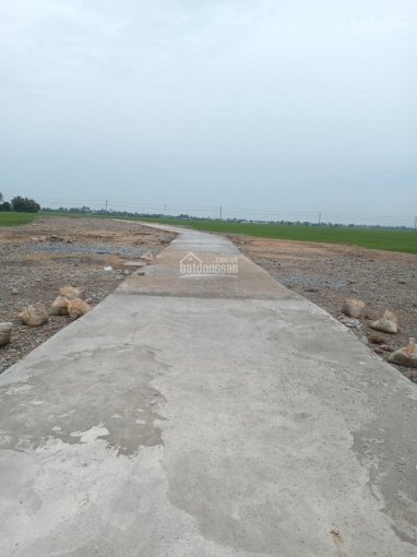 Có vài lô đất giá đầu tư sổ hồng riêng, ven TP Phan Rang Tháp Chàm, tỉnh Ninh Thuận 3