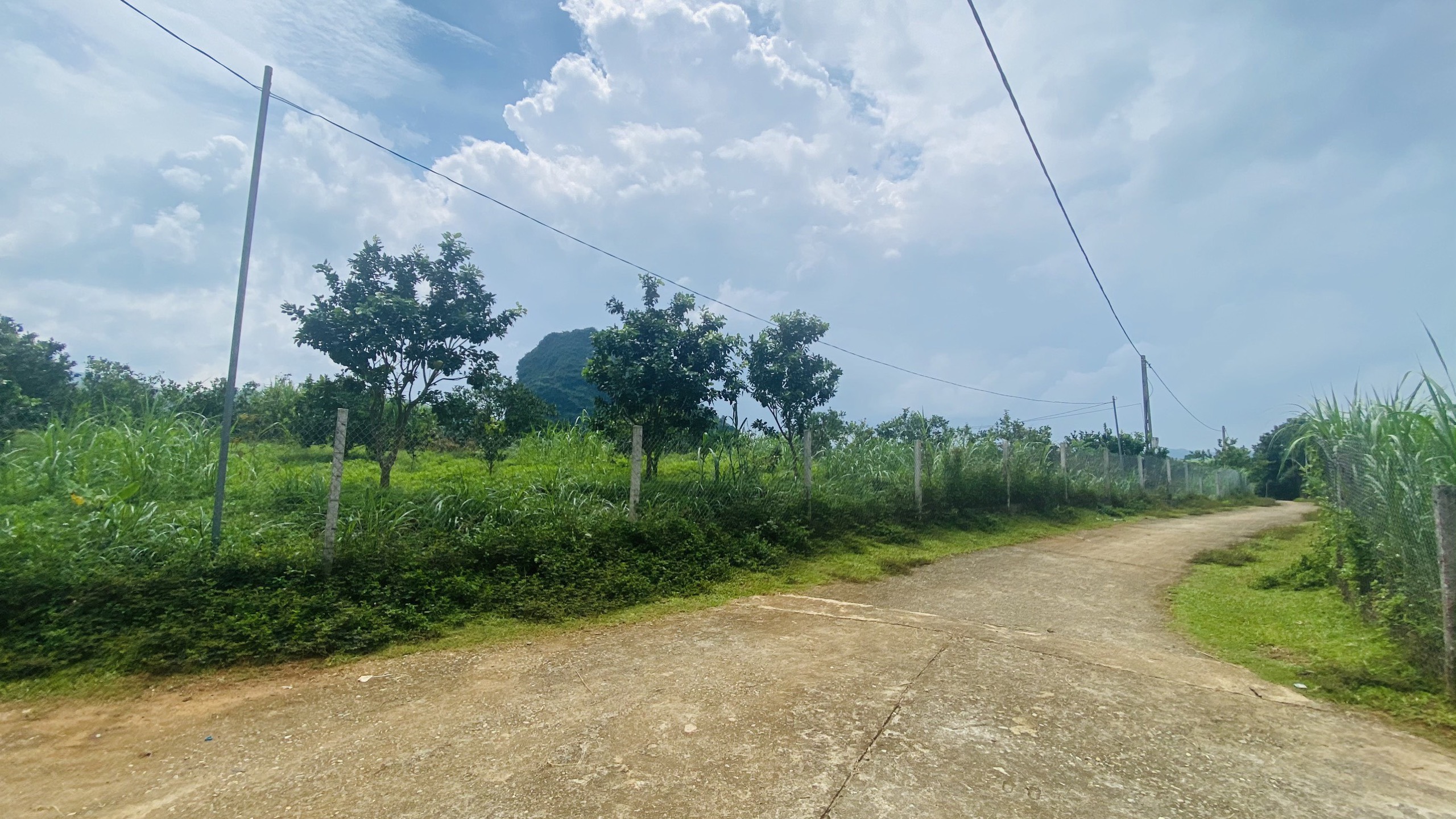 Cần bán Đất Xã Tân Phong, Cao Phong, Diện tích 4530m², Giá 2100 Triệu - LH: 0968729955 4