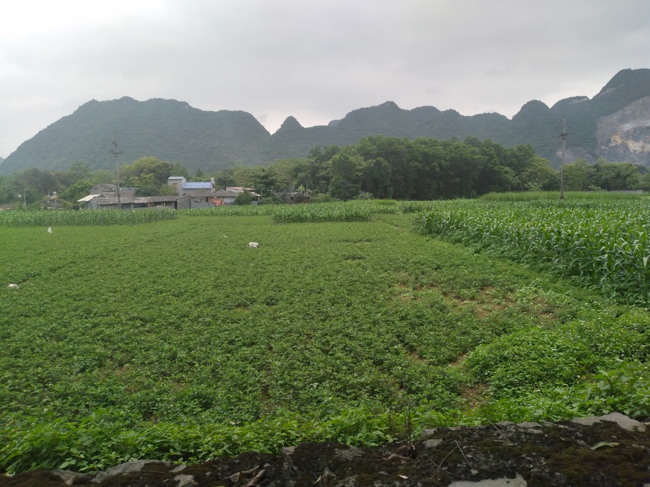 Cần bán Đất Xã Trung Sơn, Lương Sơn, Diện tích 648m², Giá 900 Triệu - LH: 0968729955 4