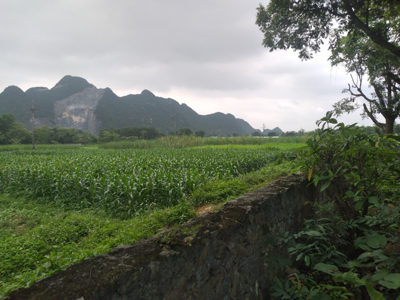 Cần bán Đất Xã Trung Sơn, Lương Sơn, Diện tích 648m², Giá 900 Triệu - LH: 0968729955 3