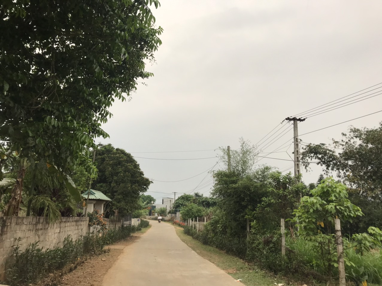 Cần bán Đất Xã Xuân Phong, Cao Phong, Diện tích 992m², Giá 900 Triệu - LH: 0968729955 3