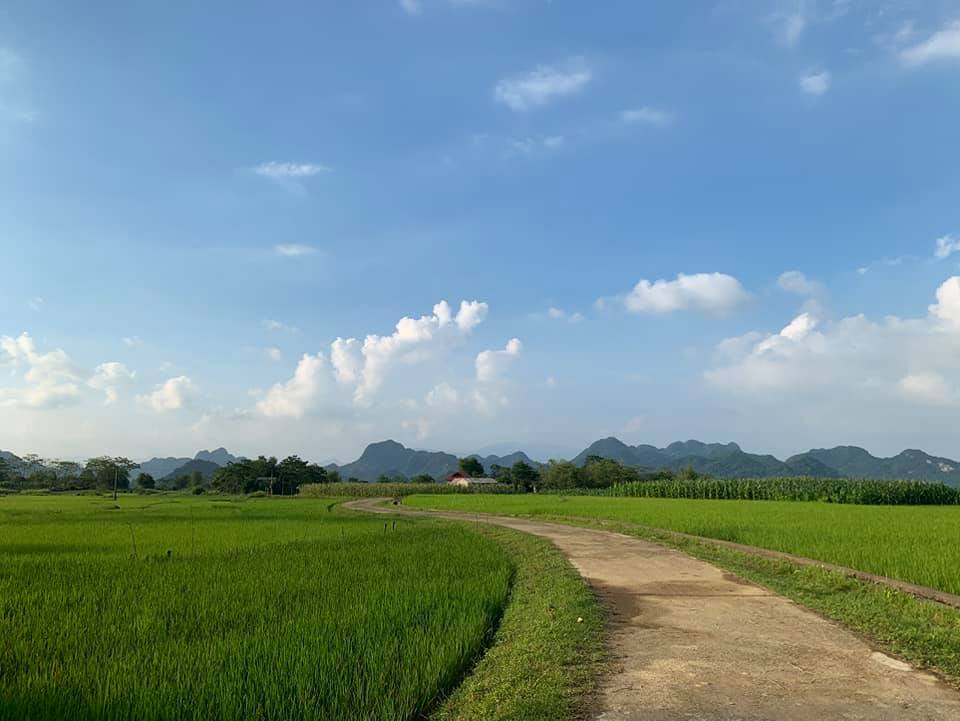 Cần bán Đất Xã Phú Cường, Tân Lạc, Diện tích 1000m², Giá 450 Triệu - LH: 0987600738