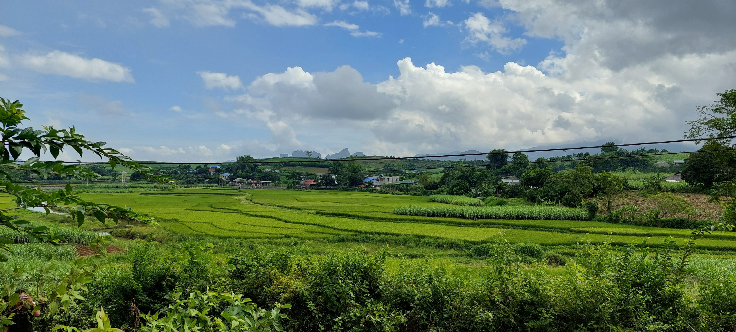 Siêu phẩm nghỉ dưỡng chỉ vài trăm triệu view tuyệt đẹp bám đường liên xã 50m Cao Phong Hòa Bình 8