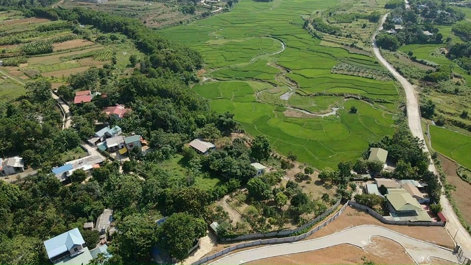 Cần bán Đất Xã Hợp Hòa, Lương Sơn, Diện tích 3634m², Giá 5900 Triệu - LH: 0987600738 3