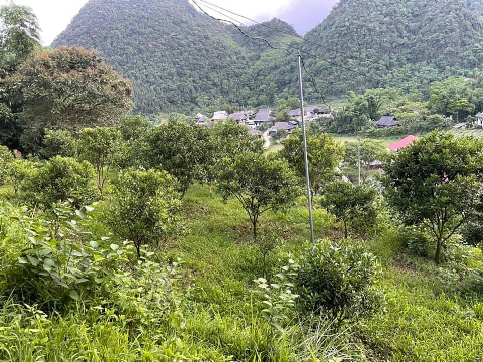 Cần bán Đất Xã Lũng Vân, Tân Lạc, Diện tích 1562m², Giá 1800 Triệu - LH: 0987600738 5
