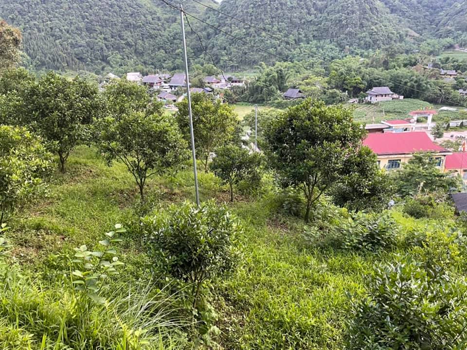 Cần bán Đất Xã Lũng Vân, Tân Lạc, Diện tích 1562m², Giá 1800 Triệu - LH: 0987600738 8