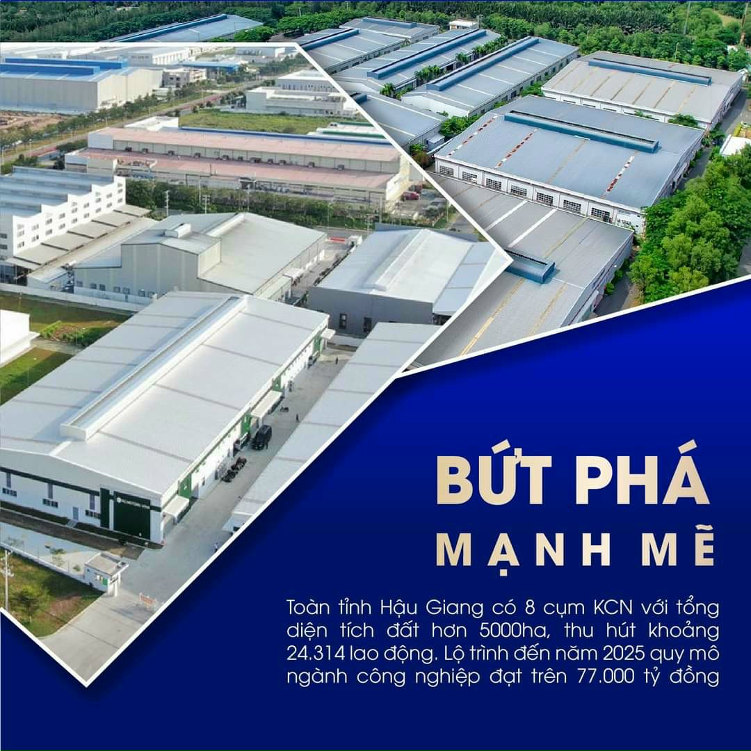 Cần bán Đất nền dự án đường Nam Sông Hậu, Xã Mái Dầm, Diện tích 80m², Giá Thương lượng - LH: 0795838095 5