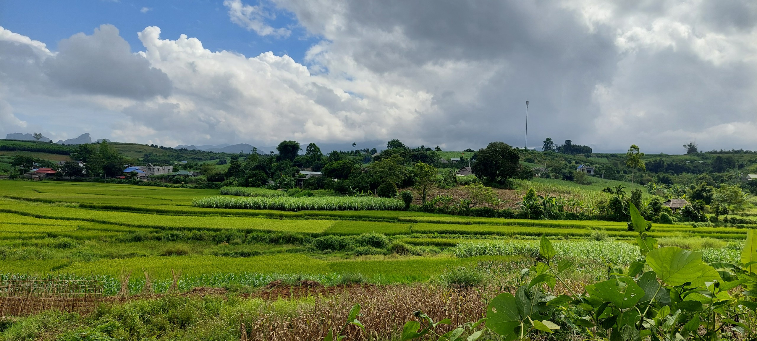 Siêu phẩm nghỉ dưỡng chỉ vài trăm triệu view tuyệt đẹp bám đường liên xã 50m Cao Phong Hòa Bình 3