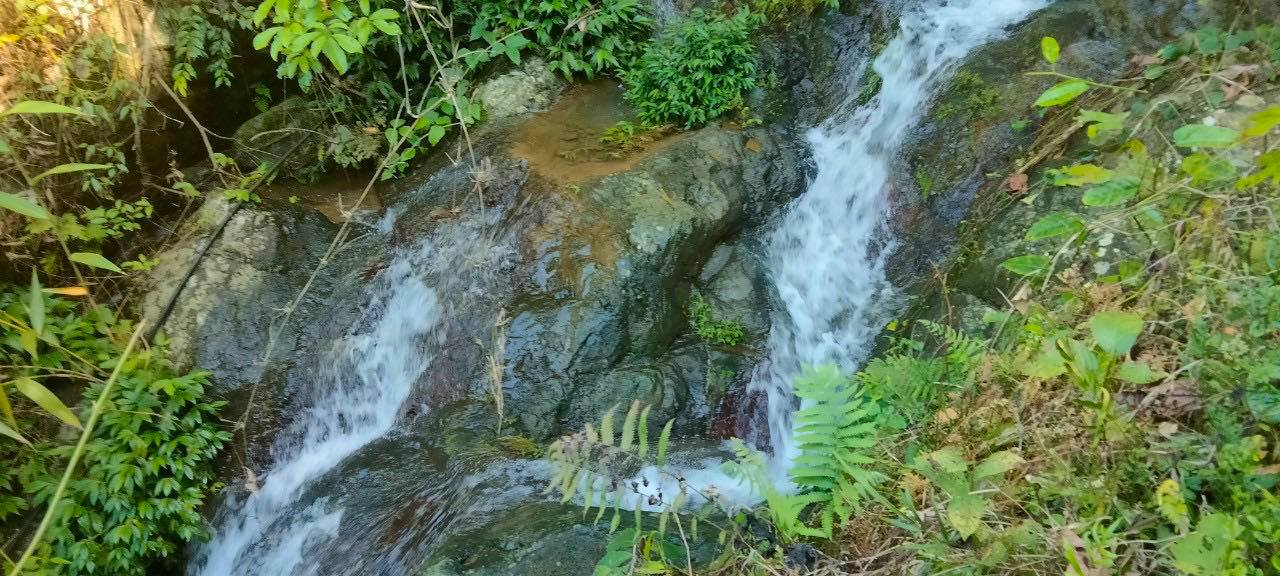 Bán đất Kim Bôi Hòa Bình có suối thác mini chảy quanh năm DT 14ha đất rừng sản xuất