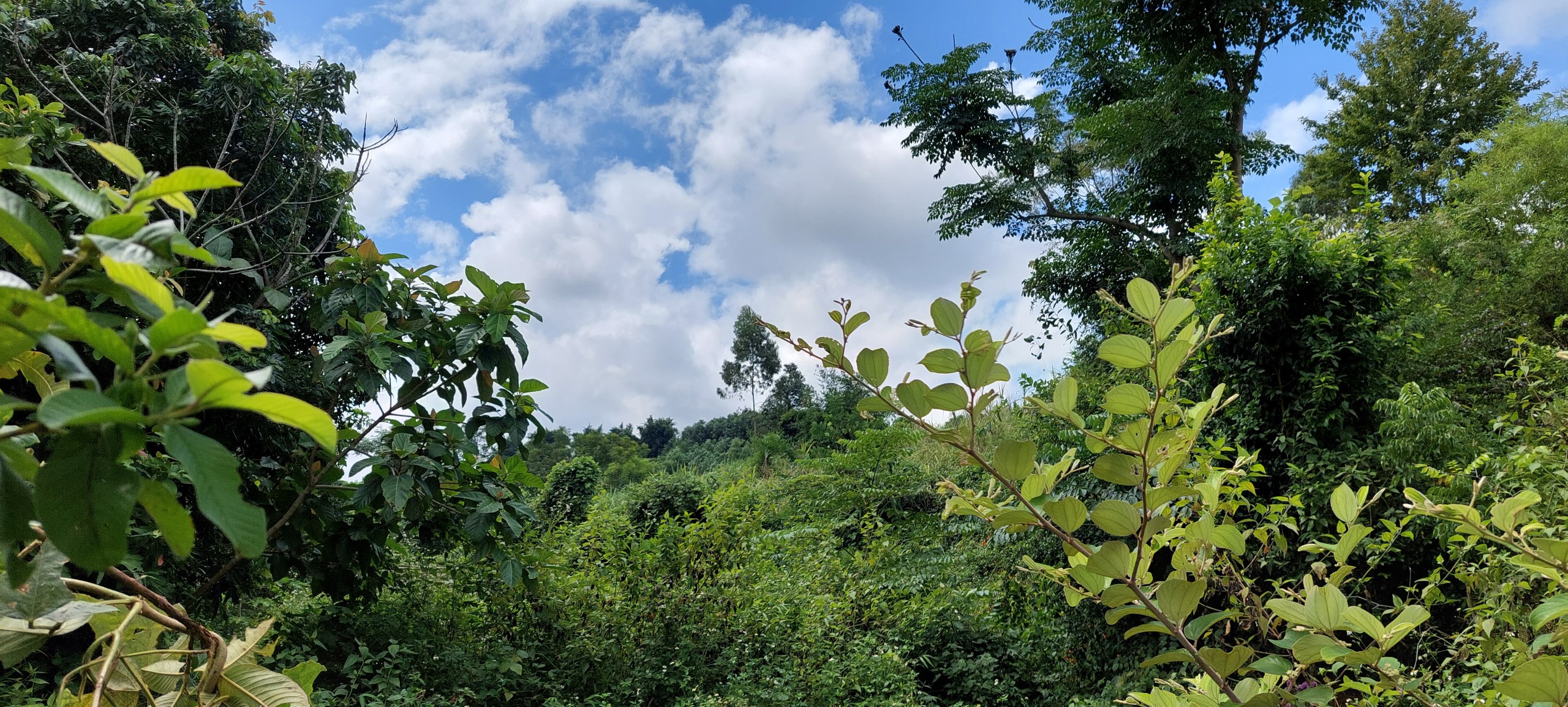 Siêu phẩm nghỉ dưỡng chỉ vài trăm triệu view tuyệt đẹp bám đường liên xã 50m Cao Phong Hòa Bình 7