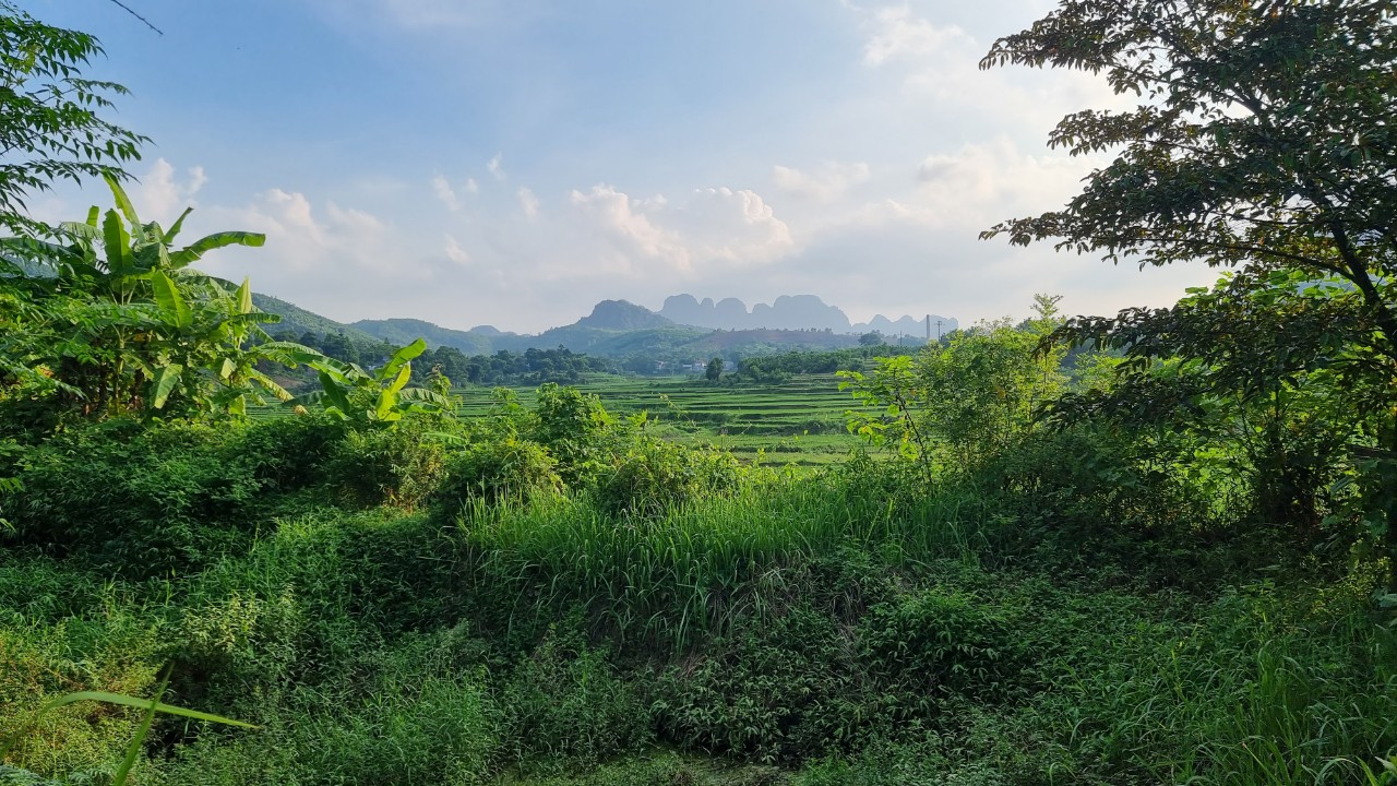 Cần bán Đất Xã Hợp Hòa, Lương Sơn, Diện tích 3634m², Giá 5900 Triệu - LH: 0987600738 4