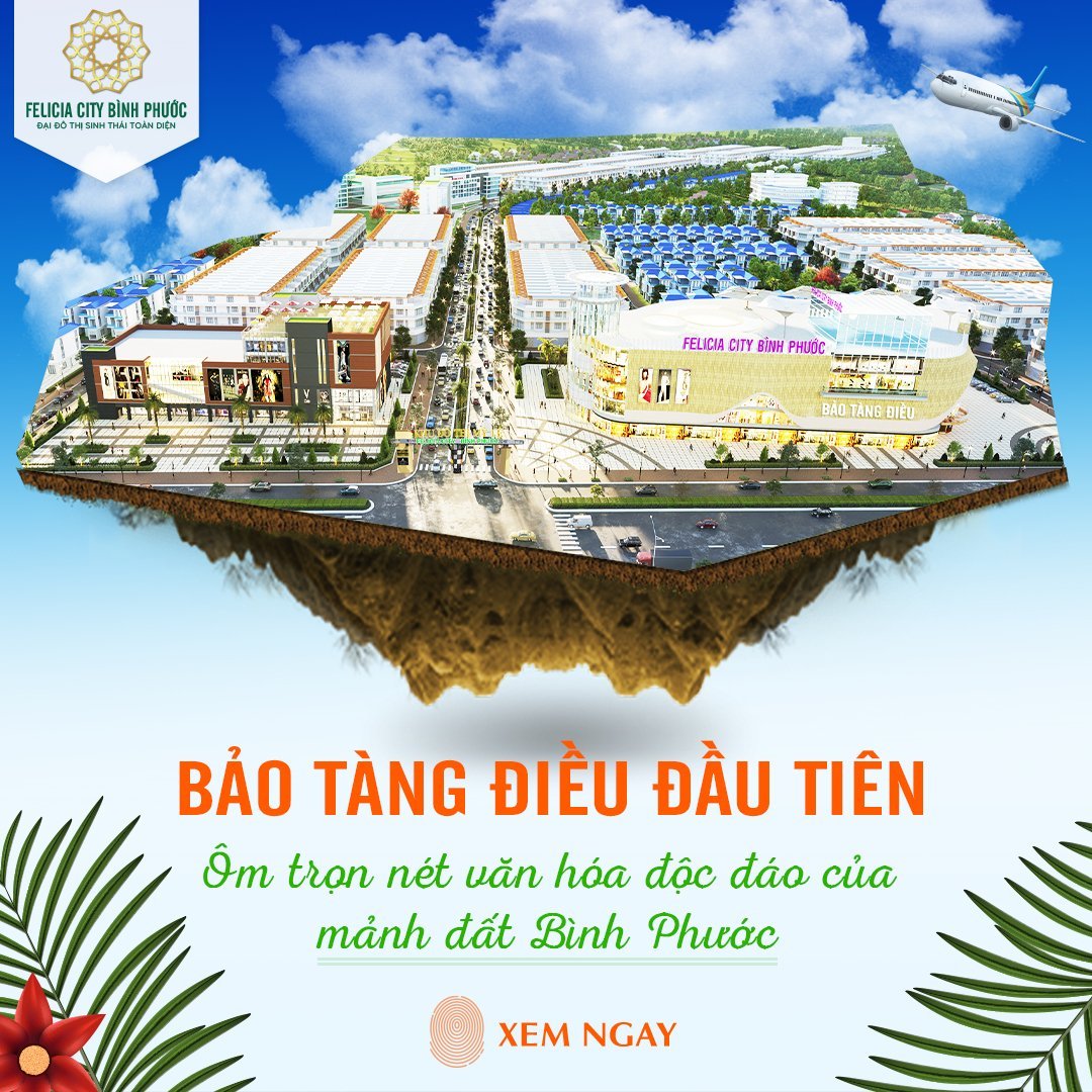 Bảo Tàng Điều Việt Nam - giá chỉ từ 4 tr/m2 tại khu đô thị sinh thái Felicia City Bình Phước 2
