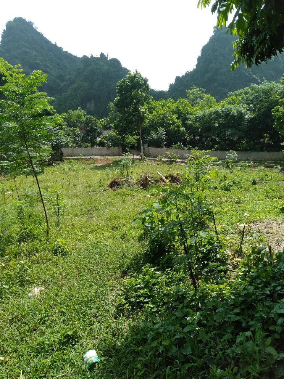 Gia đình cần chuyển nhượng lô đất 1000m đất ở có 500m thổ cư tại Lương Sơn Hòa Bình giá chưa đến 1 tỉ. 2