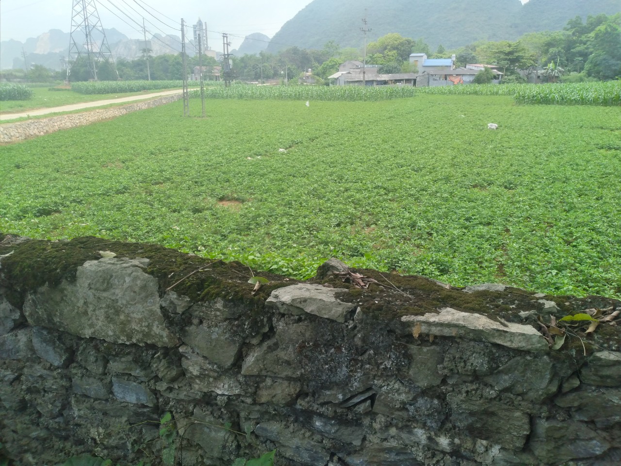 Cần bán Đất Xã Trung Sơn, Lương Sơn, Diện tích 648m², Giá 900 Triệu - LH: 0968729955 5