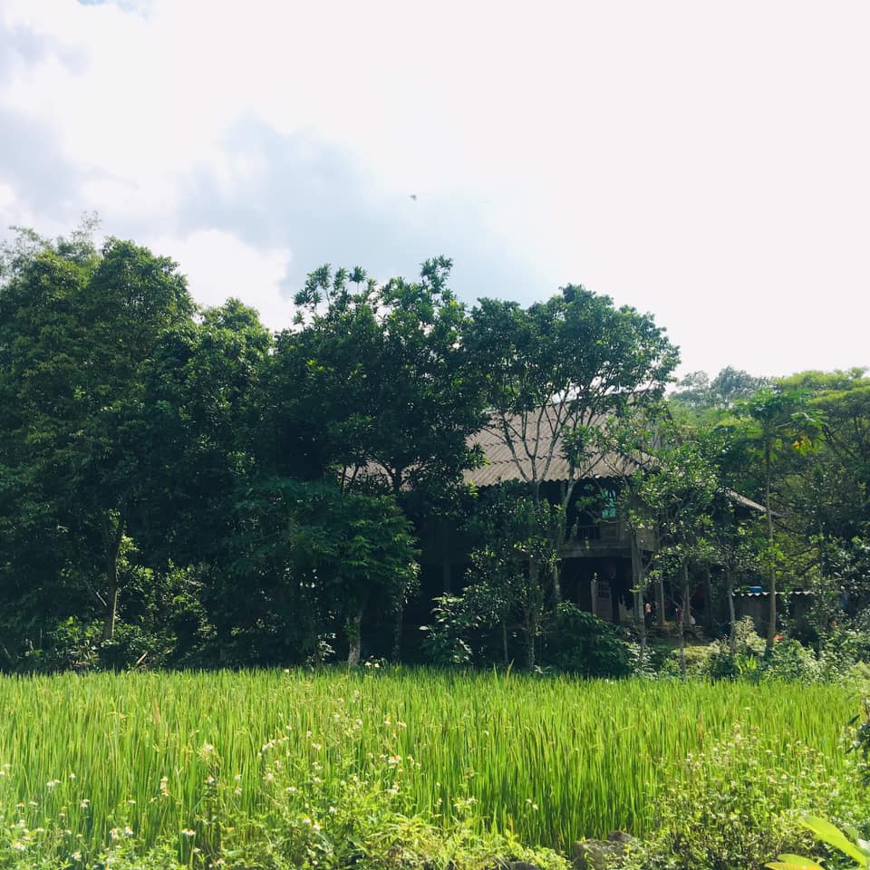 Cần bán Đất Xã Phú Cường, Tân Lạc, Diện tích 2000m², Giá 1700 Triệu - LH: 0987600738 5