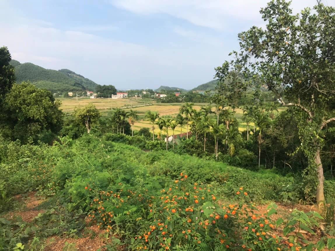 Bán đất đẹp Yên Bình 2100m view toàn bộ cánh đồng của xã, đường rộng oto tránh