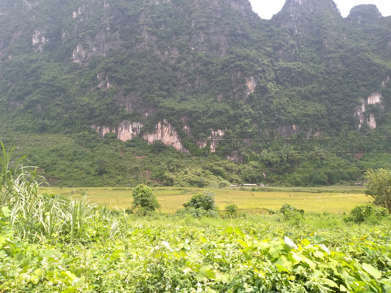 Cần bán Đất Xã Tiến Sơn, Lương Sơn, Diện tích 3000m², Giá 1600 Triệu - LH: 0968729955 1