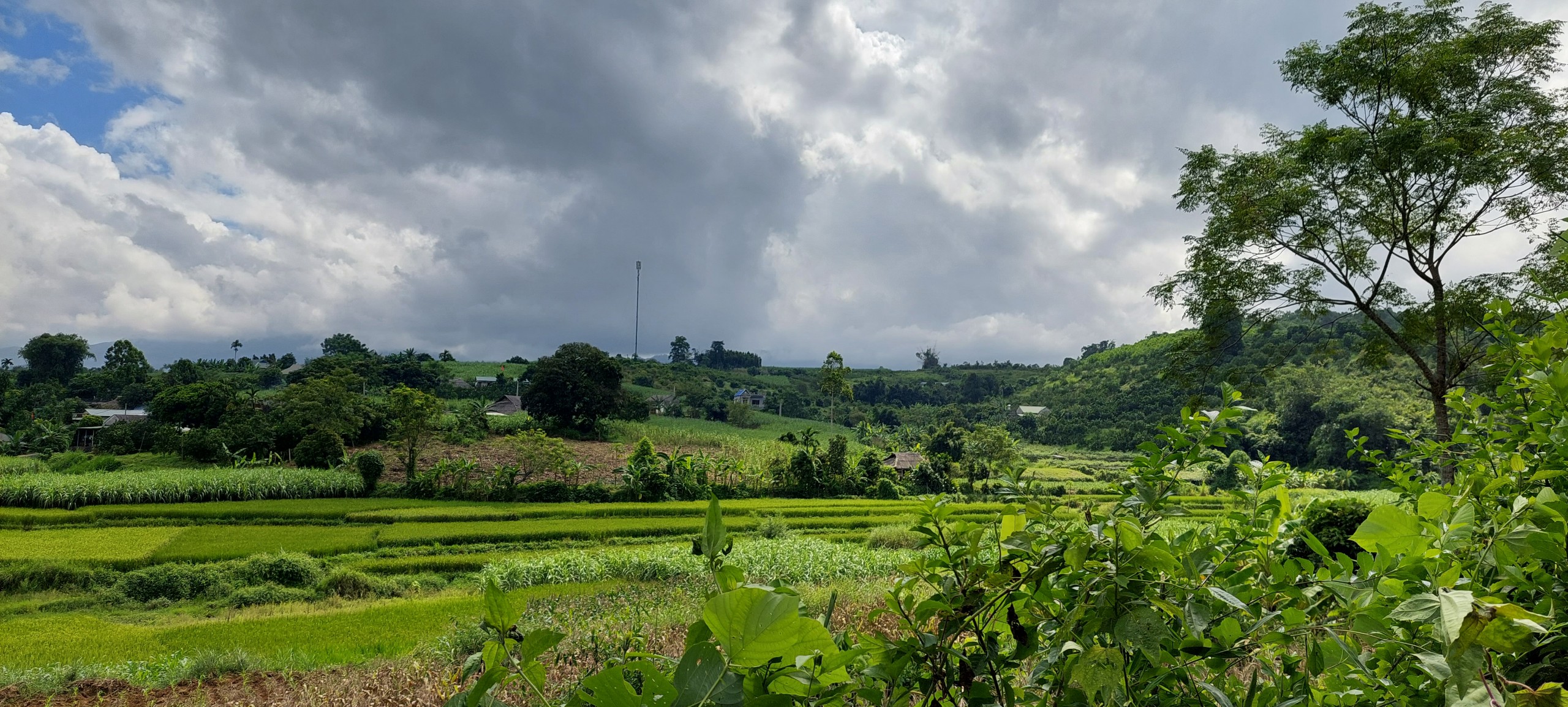 Siêu phẩm nghỉ dưỡng chỉ vài trăm triệu view tuyệt đẹp bám đường liên xã 50m Cao Phong Hòa Bình 2