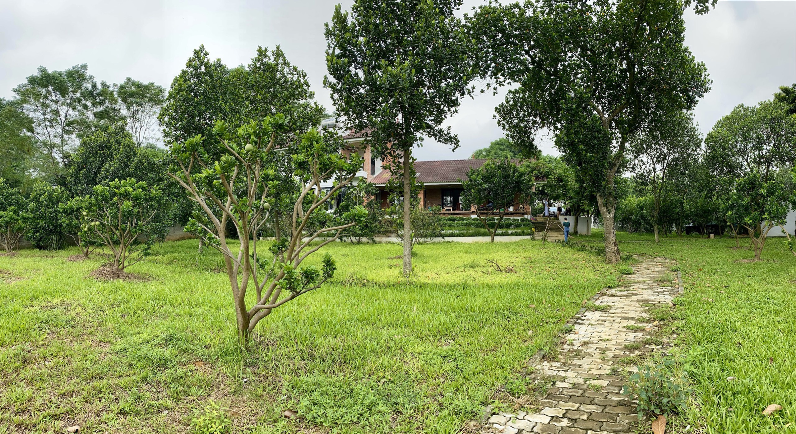 Cần bán Biệt Thự nghỉ dưỡng đẹp như tranh, Xã Phú Cát, Diện tích 8444m², Giá 10.5 tỷ - LH: 0975263992 6