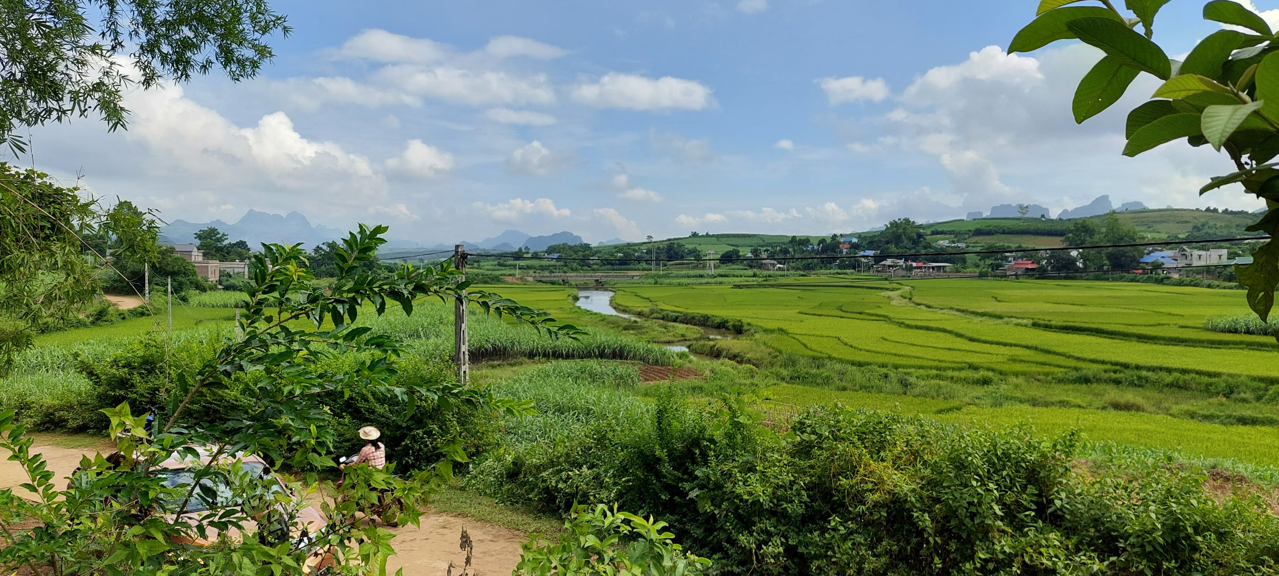 Siêu phẩm nghỉ dưỡng chỉ vài trăm triệu view tuyệt đẹp bám đường liên xã 50m Cao Phong Hòa Bình 5